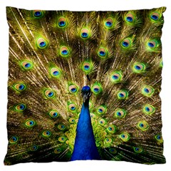 Peacock Bird Large Cushion Case (two Sides) by Simbadda