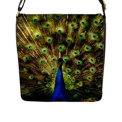 Peacock Bird Flap Messenger Bag (l)  by Simbadda