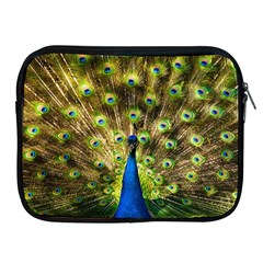 Peacock Bird Apple Ipad 2/3/4 Zipper Cases by Simbadda