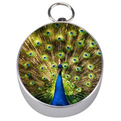 Peacock Bird Silver Compasses