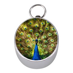 Peacock Bird Mini Silver Compasses by Simbadda