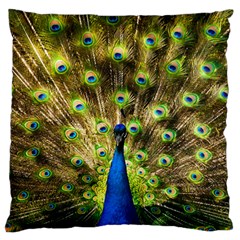 Peacock Bird Standard Flano Cushion Case (one Side) by Simbadda