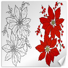 Poinsettia Flower Coloring Page Canvas 20  X 20   by Simbadda