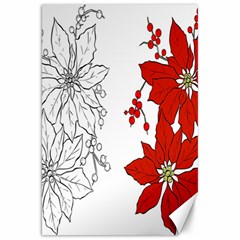 Poinsettia Flower Coloring Page Canvas 20  X 30   by Simbadda