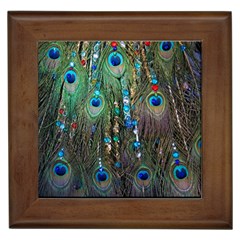 Peacock Jewelery Framed Tiles