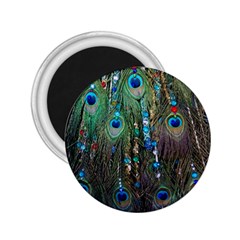 Peacock Jewelery 2 25  Magnets