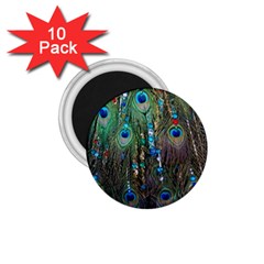 Peacock Jewelery 1 75  Magnets (10 Pack)  by Simbadda