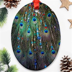 Peacock Jewelery Oval Ornament (two Sides) by Simbadda