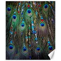 Peacock Jewelery Canvas 8  X 10  by Simbadda