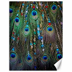 Peacock Jewelery Canvas 12  X 16   by Simbadda