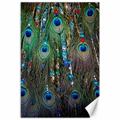 Peacock Jewelery Canvas 12  X 18   by Simbadda