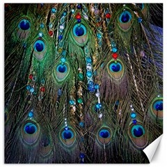 Peacock Jewelery Canvas 20  X 20   by Simbadda