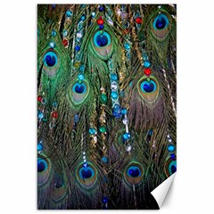 Peacock Jewelery Canvas 20  X 30   by Simbadda