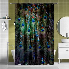 Peacock Jewelery Shower Curtain 48  X 72  (small)  by Simbadda