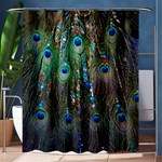 Peacock Jewelery Shower Curtain 60  x 72  (Medium)  60 x72  Curtain