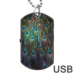 Peacock Jewelery Dog Tag Usb Flash (one Side) by Simbadda