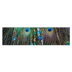 Peacock Jewelery Satin Scarf (oblong) by Simbadda