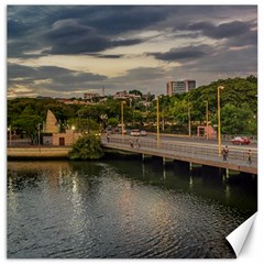 Estero Salado River Guayaquil Ecuador Canvas 20  X 20   by dflcprints