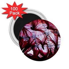 Jellyfish Ballet Wind 2 25  Magnets (100 Pack)  by Simbadda