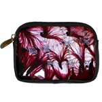 Jellyfish Ballet Wind Digital Camera Cases Front