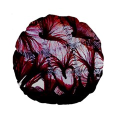 Jellyfish Ballet Wind Standard 15  Premium Round Cushions by Simbadda