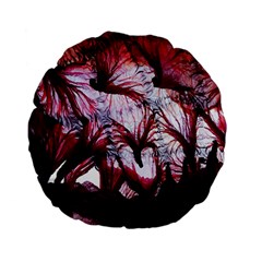 Jellyfish Ballet Wind Standard 15  Premium Flano Round Cushions by Simbadda