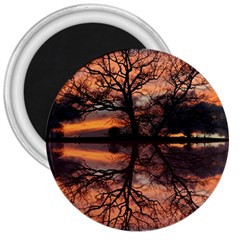 Aurora Sunset Sun Landscape 3  Magnets by Simbadda