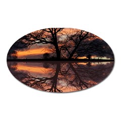 Aurora Sunset Sun Landscape Oval Magnet by Simbadda