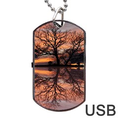 Aurora Sunset Sun Landscape Dog Tag Usb Flash (one Side) by Simbadda