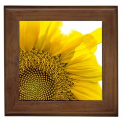 Plant Nature Leaf Flower Season Framed Tiles by Simbadda