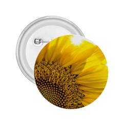 Plant Nature Leaf Flower Season 2 25  Buttons