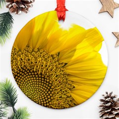 Plant Nature Leaf Flower Season Ornament (round) by Simbadda