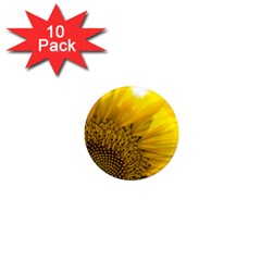 Plant Nature Leaf Flower Season 1  Mini Magnet (10 Pack)  by Simbadda