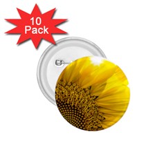 Plant Nature Leaf Flower Season 1 75  Buttons (10 Pack) by Simbadda