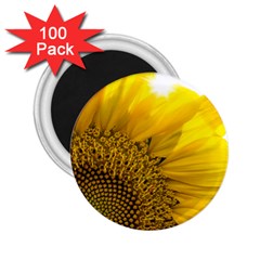 Plant Nature Leaf Flower Season 2 25  Magnets (100 Pack)  by Simbadda