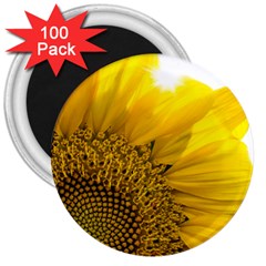 Plant Nature Leaf Flower Season 3  Magnets (100 Pack) by Simbadda