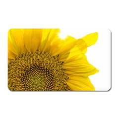 Plant Nature Leaf Flower Season Magnet (rectangular) by Simbadda