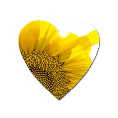 Plant Nature Leaf Flower Season Heart Magnet by Simbadda