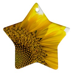 Plant Nature Leaf Flower Season Star Ornament (two Sides) by Simbadda