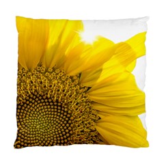 Plant Nature Leaf Flower Season Standard Cushion Case (one Side) by Simbadda