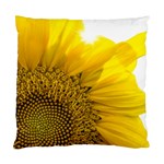 Plant Nature Leaf Flower Season Standard Cushion Case (One Side) Front