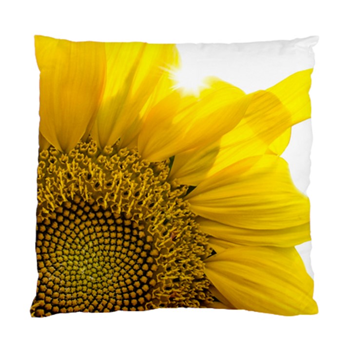 Plant Nature Leaf Flower Season Standard Cushion Case (One Side)