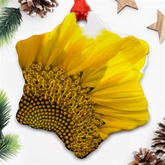 Plant Nature Leaf Flower Season Ornament (snowflake) by Simbadda