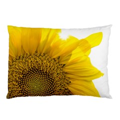 Plant Nature Leaf Flower Season Pillow Case (two Sides) by Simbadda