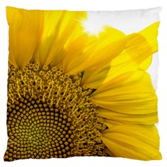 Plant Nature Leaf Flower Season Large Cushion Case (one Side) by Simbadda