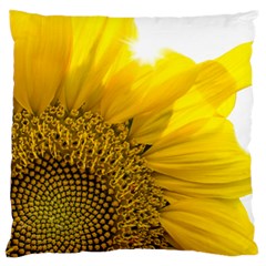 Plant Nature Leaf Flower Season Large Flano Cushion Case (one Side) by Simbadda