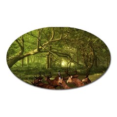 Red Deer Deer Roe Deer Antler Oval Magnet by Simbadda