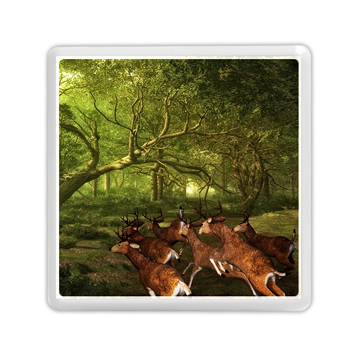 Red Deer Deer Roe Deer Antler Memory Card Reader (Square) 