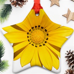 Transparent Flower Summer Yellow Ornament (star)