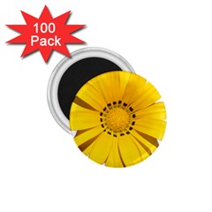 Transparent Flower Summer Yellow 1 75  Magnets (100 Pack)  by Simbadda